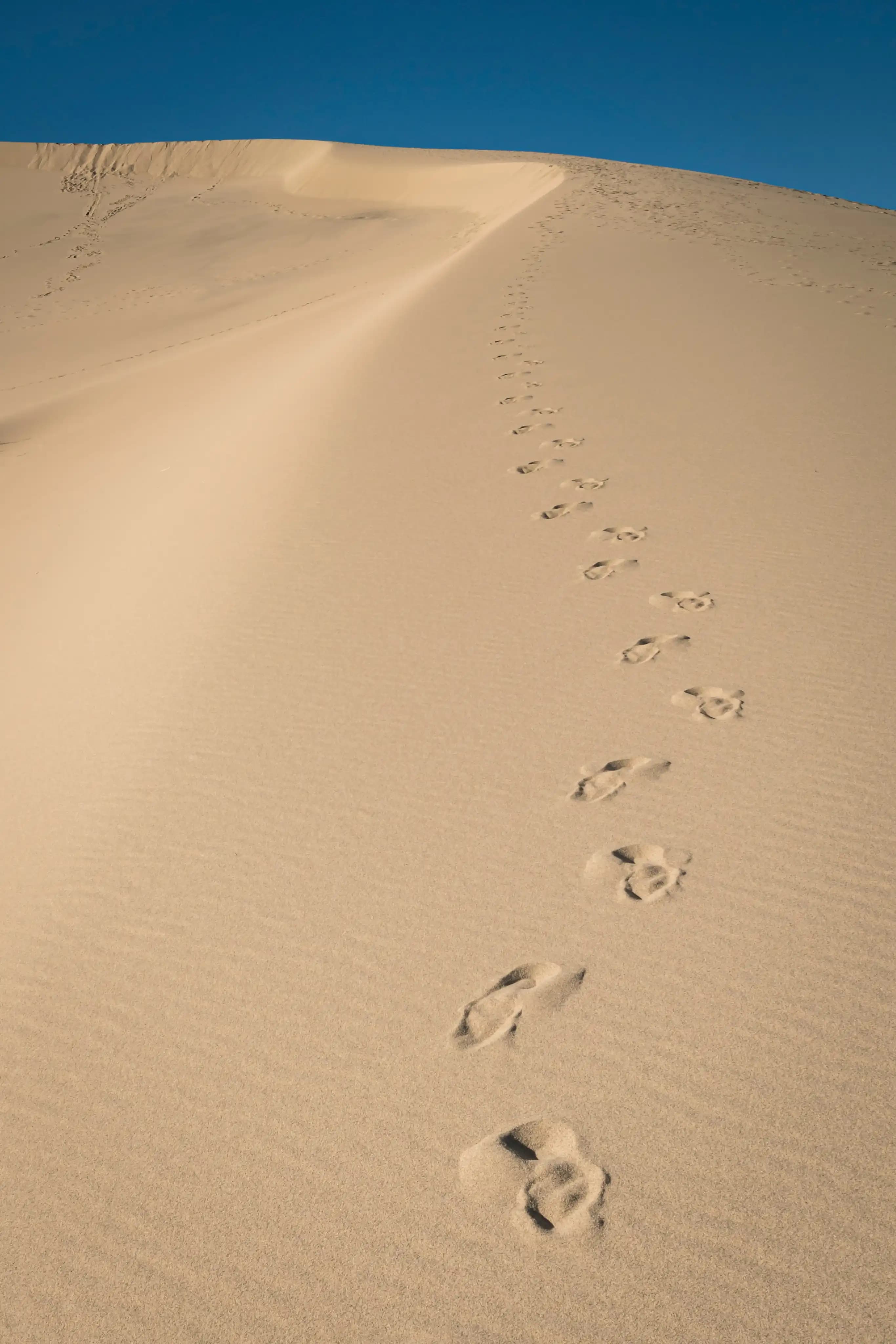 Sand and Sky inspiration image of footprints in sand